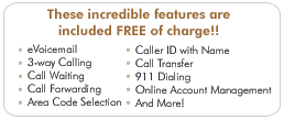 Free features included in all our voip reseller program services